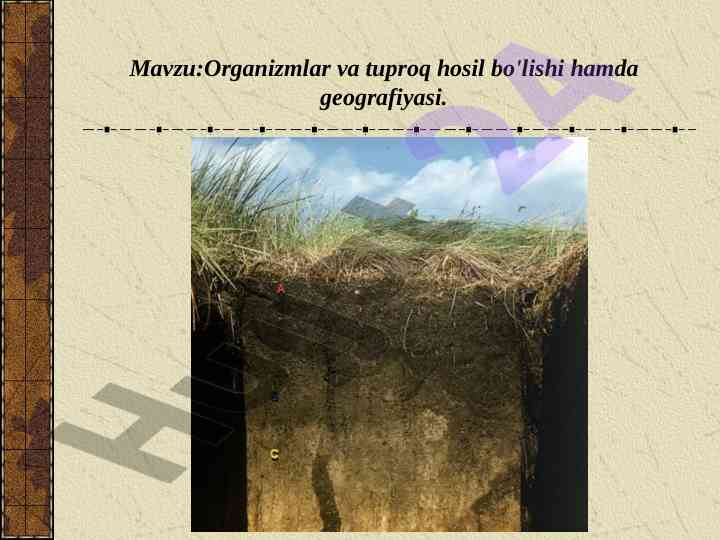 Organizmlar va tuproq hosil bo'lishi hamda geografiyasi