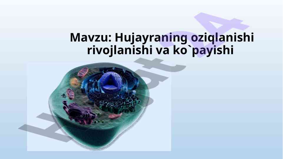 Hujayra oziqlanishi va rivojlanishining asosiy qonuniyatlari