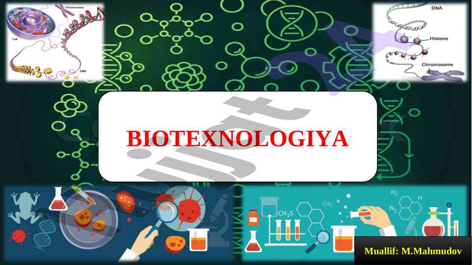 Gen muhandisligi va biotexnologiya masalalari