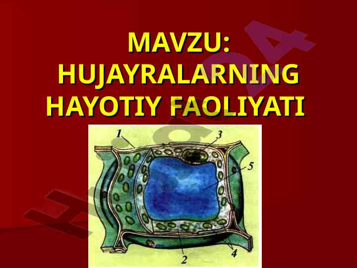 Hujayralarning hayotiy faoliyati va harakati