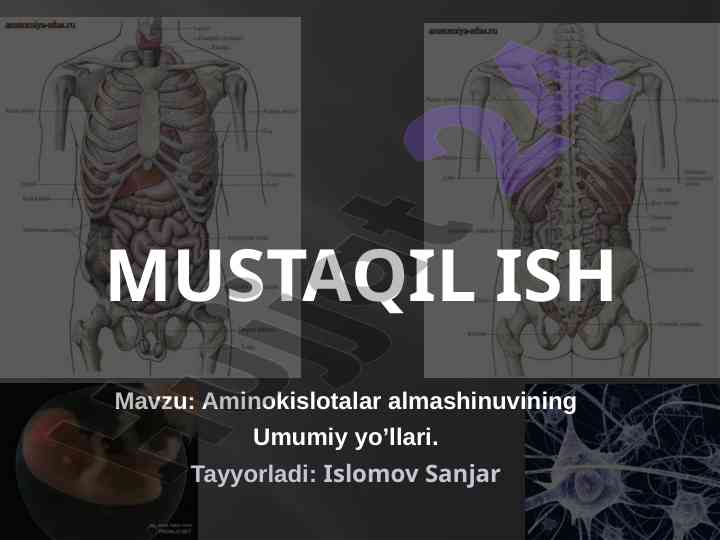Aminokislotalar almashinuvining umumiy yo'llari