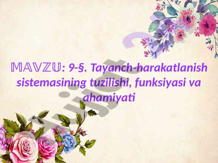 Tayanch-harakatlanish sistemasining tuzilishi va ahmiyati