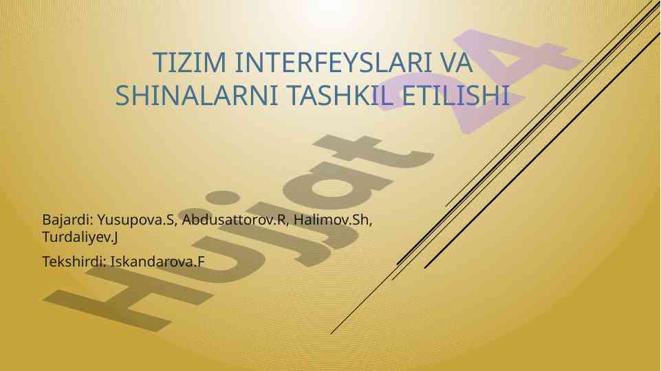 Tizim interfeyslari va shinalar tashkil etilishi