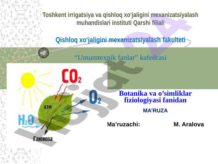 Fotosentiz fiziologiyasi ma'ruzasi