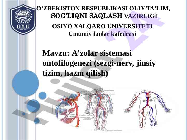 A’zolar sistemasi ontofilogenezi rejasi