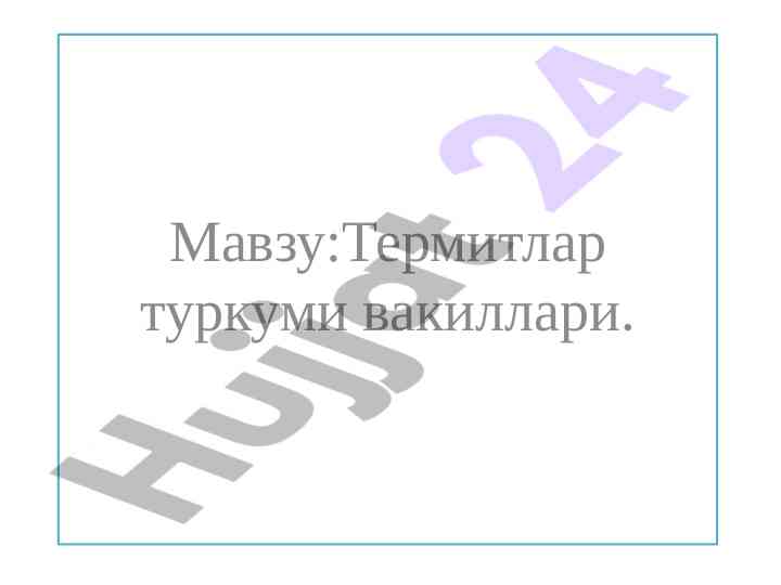 Termitlar turkumi va ularning xususiyatlari