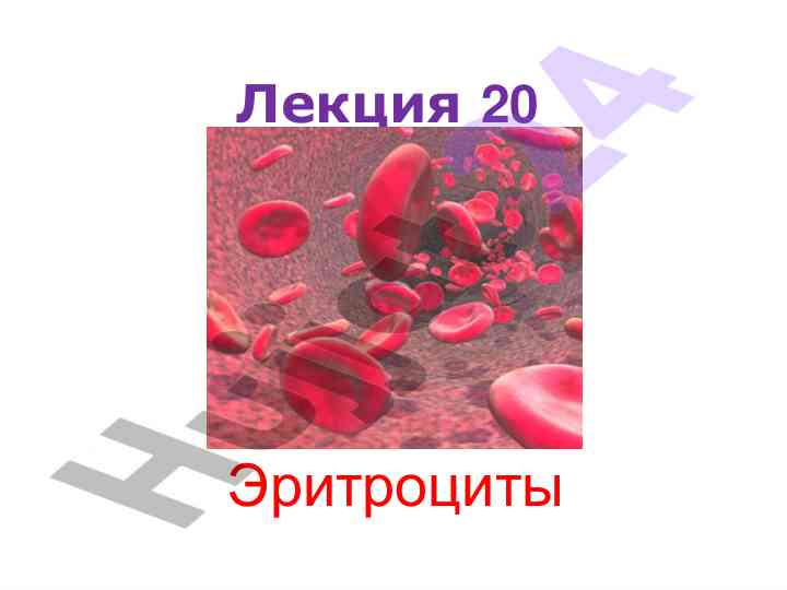 Физиология эритроцитов и эритрон системаси
