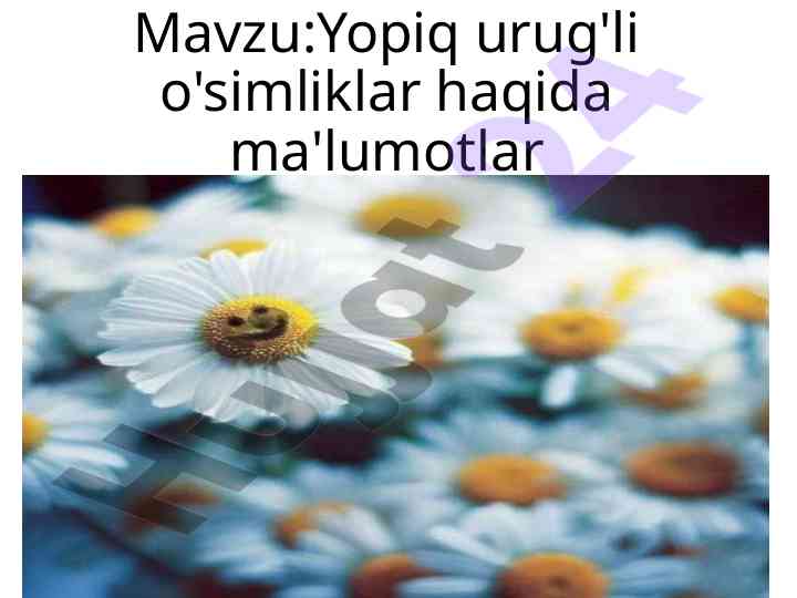 Yopiq urug'li o'simliklar haqida ma'lumotlar