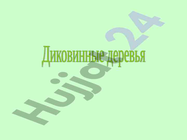 Чудеса растительного мира из бразилии и индии