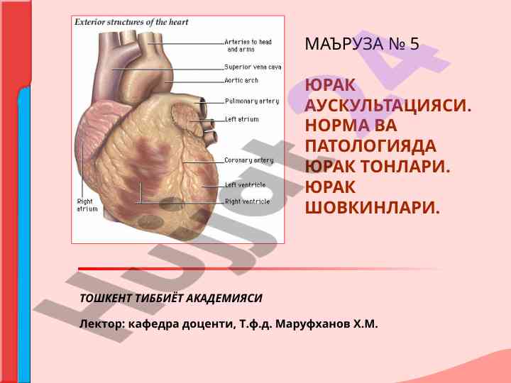 Yurak auskulyatsiyasi normasi va patologiyada