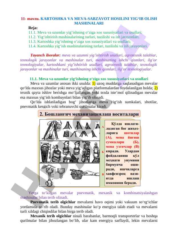 Kartoshka va meva-sabzavot hosilini yig‘ib olish