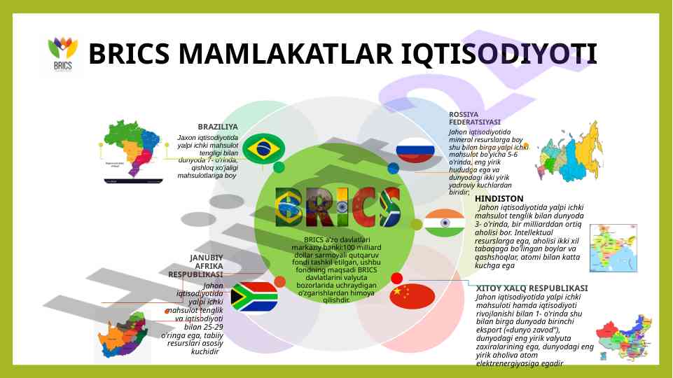 Brics mamlakatlarining iqtisodiyoti va resurslari