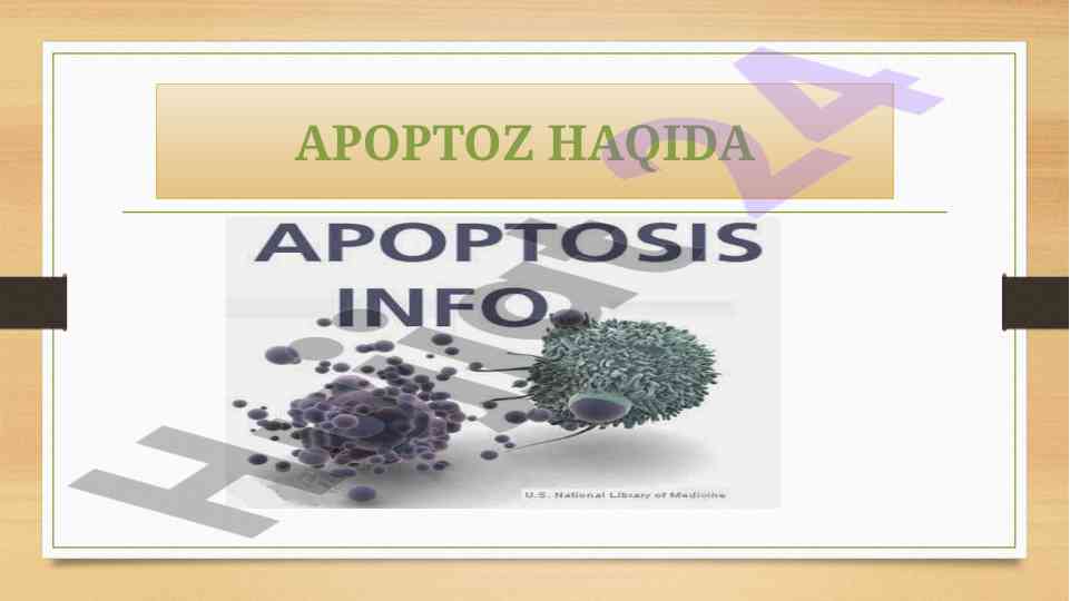 Apoptoz jarayoni va uning muhim mexanizmlari