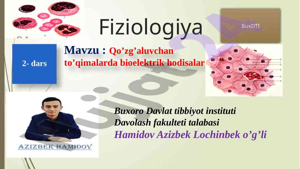Bioelektrik hodisalar va qo'zg'aluvchan to'qimalar