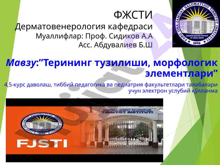 Terining tuzilishi, morfologik elementlari qo‘llanma