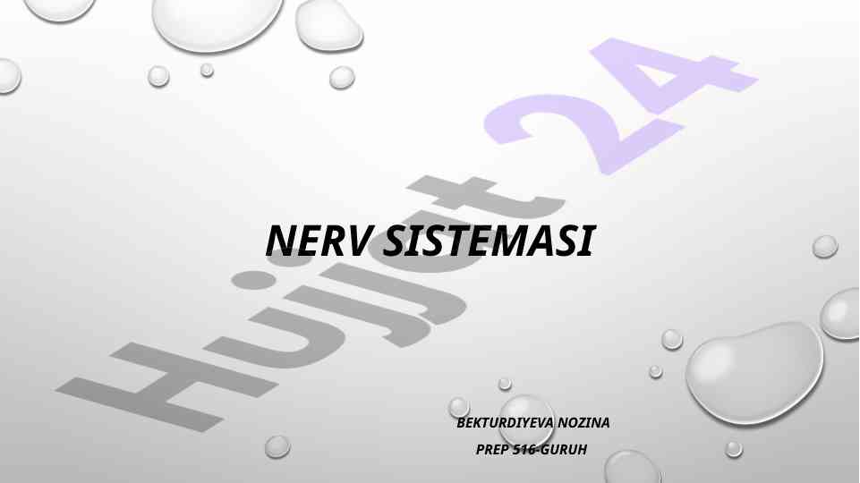 Nerv sistemasi ta'lim resurslari