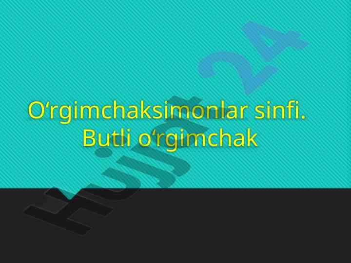 O‘rgimchaksimonlar sinfi: butli o‘rgimchak ta’limi