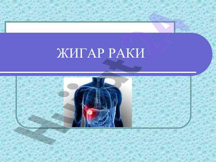 Jigar raki anatomiyasi va funktsiyalari