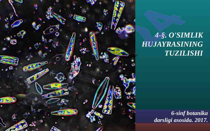 Osimlik hujayrasining tuzilishi bo'yicha o'quv qo'llanma