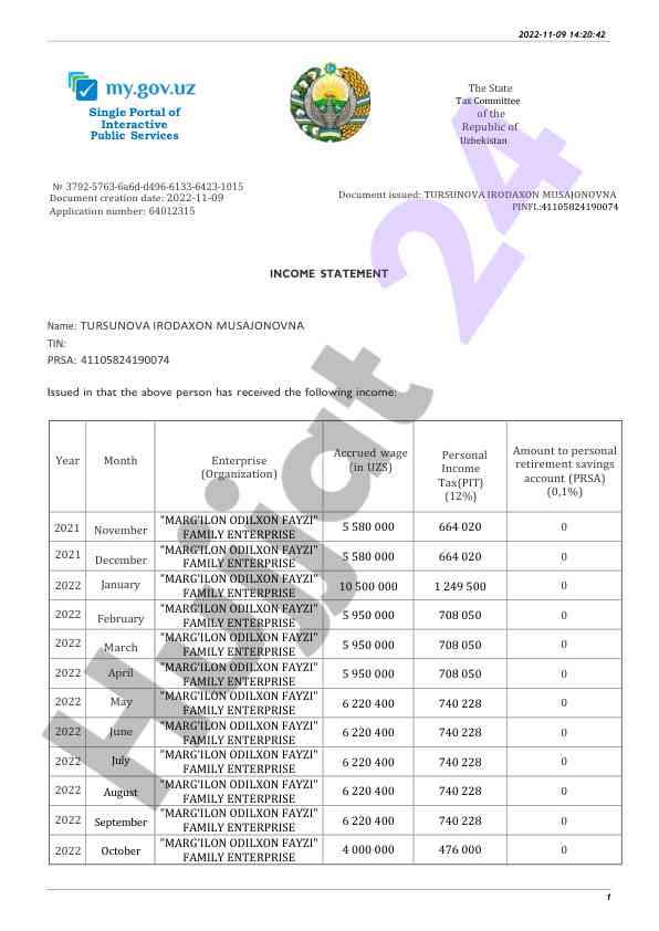 Tukarov tax income statement and wages analysis