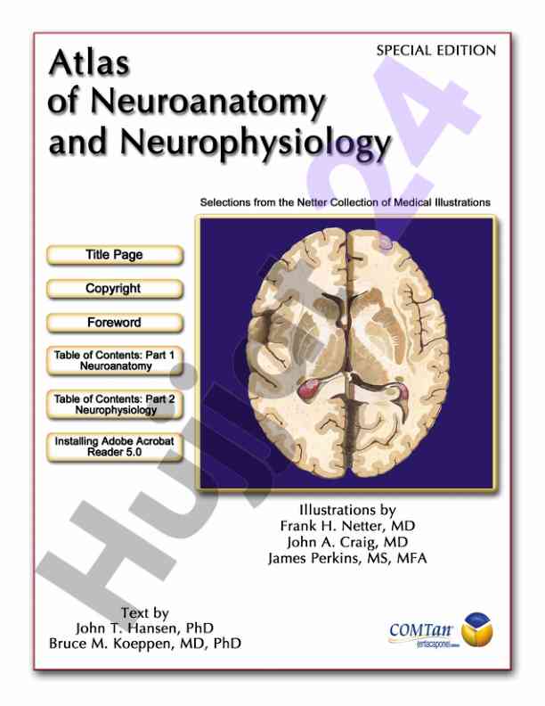 Atlas of neuroanatomy and neurophysiology overview