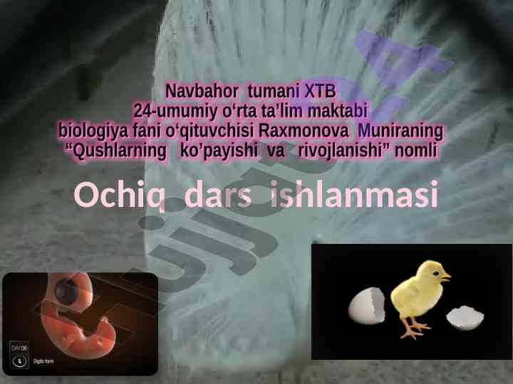 Qushlarning ko’payishi va rivojlanishi ochiq dars