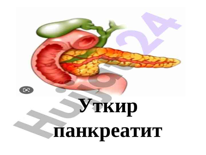 Уткир панкреатитнинг анатомияси ва патогенези