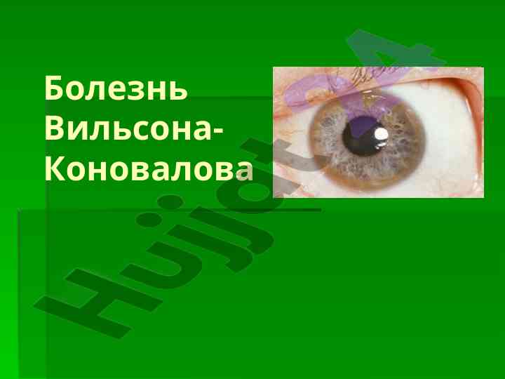 Болезнь вильсона-коновалова: генетика и эпидемиология
