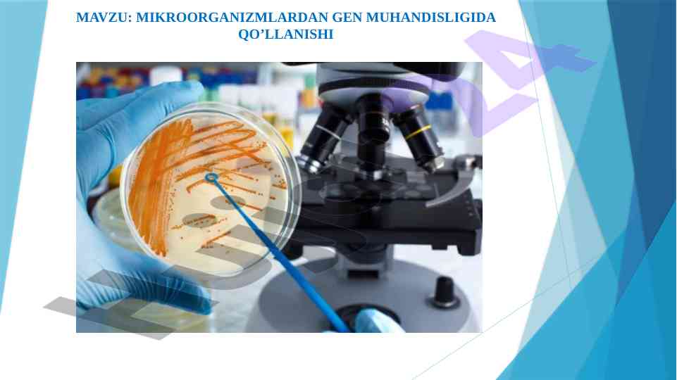 Mikroorganizmlardan gen muhandisligida qo‘llanilishi