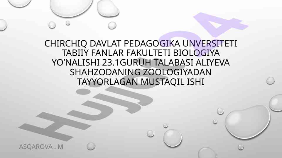 Qoramol va cho'chqa tasmasimon chuvalchanglari