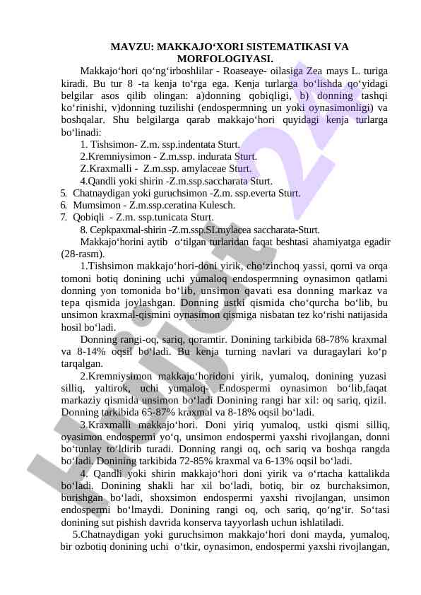 Makkajo‘xori sistematikasi va morfologiyasi
