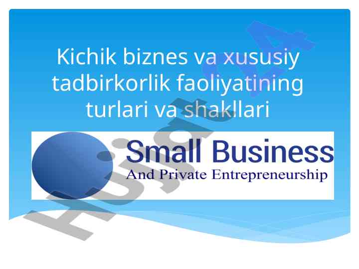 Kichik biznes va xususiy tadbirkorlik faoliyati turlari