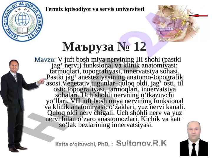 Iii shohi pastki jag‘ nervining anatomiyasi va funksiyalari