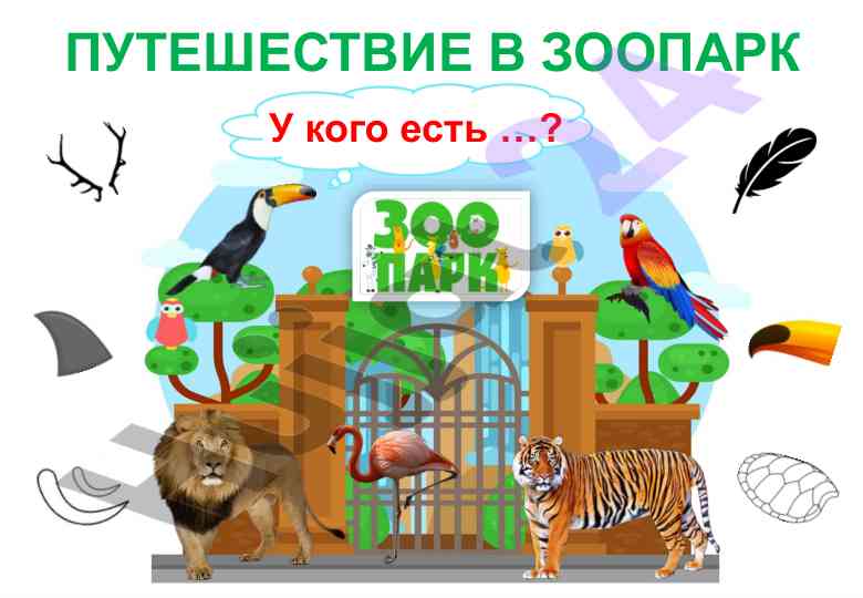 Путешествие в зоопарк и животные с их признаками