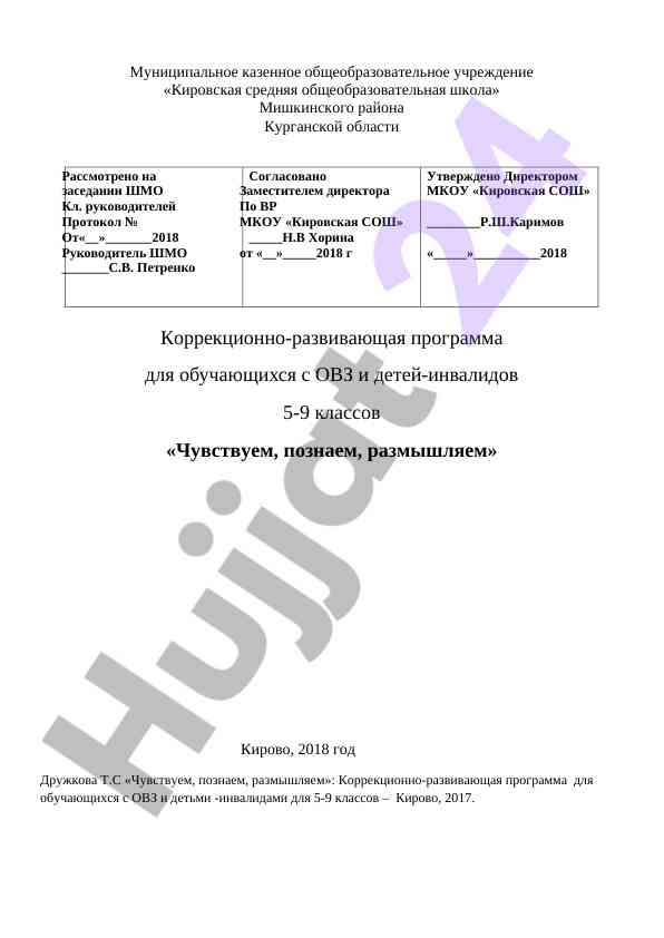 Коррекционно-развивающая программа для овз и инвалидов
