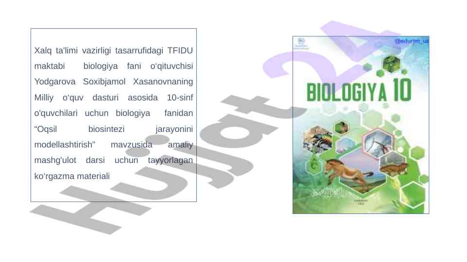 Oqsil biosintezi jarayonini modellashtirish darsi