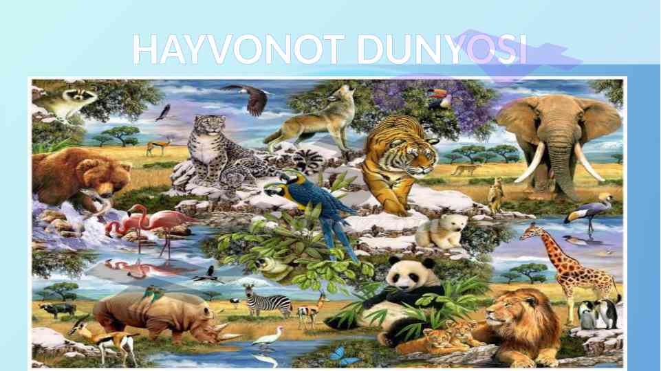 Hayvonot dunyosi va ularning oziqlanishi