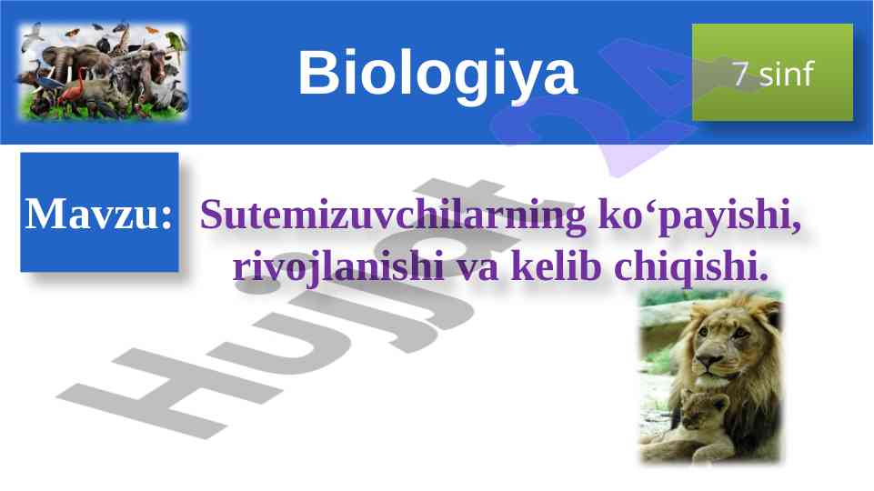 Sutemizuvchilarning ko‘payishi va rivojlanishi