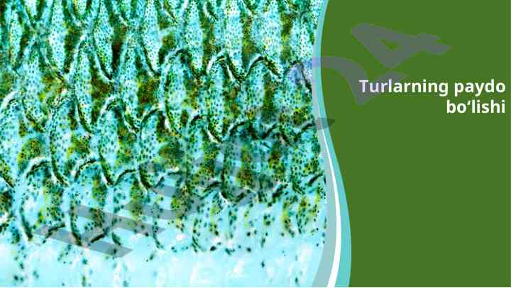 Turlarning paydo bo‘lishi va usullari