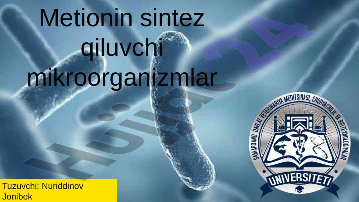 Metionin sintesi va mikroorganizmlar taqdimoti