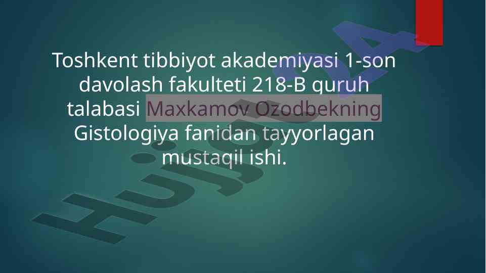 Bosh miya yarim sharlari po’stlog’ining morfogenezi