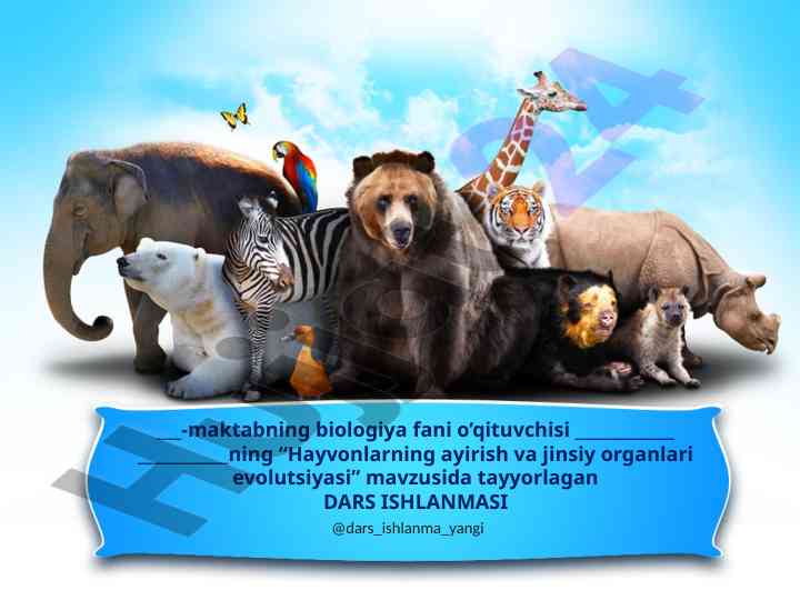 Hayvonlarning ayirish va jinsiy organlari evolutsiyasi