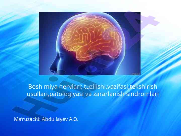 Bosh miya nervlari: tuzilishi va patologiyasi