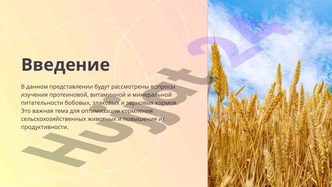 Оптимизация кормления животных через питательные вещества