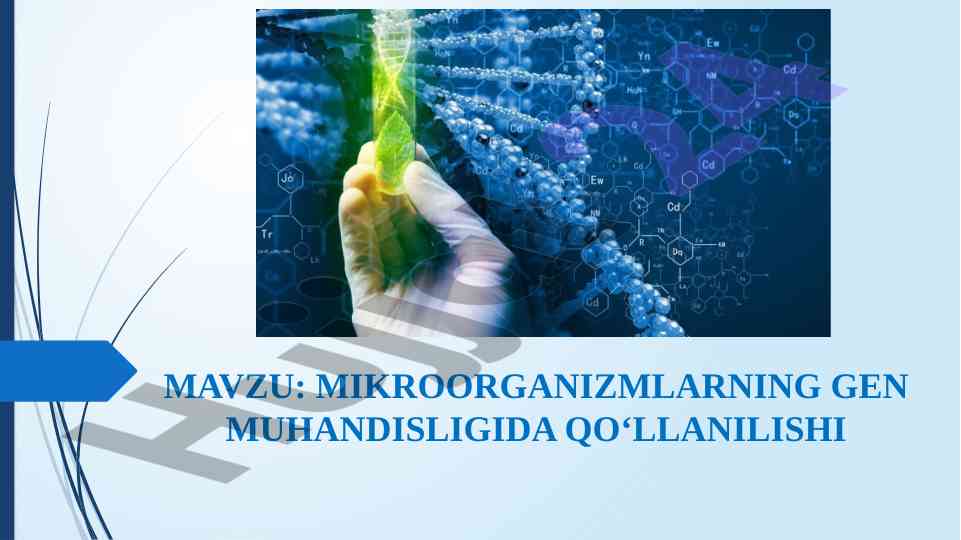 Mikroorganizmlarning gen muhandisligida qoʻllanilishi