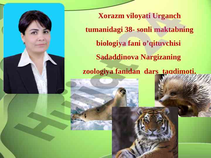 Sut emizuvchilarning xilma-xilligi dars taqdimoti