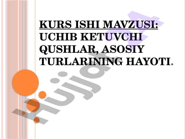 Uchib ketuvchi qushlar asosiy turlariining hayoti