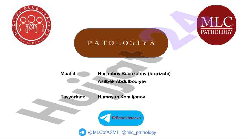 Hazm sistemasi patologiyasi buzilishlari tahlili