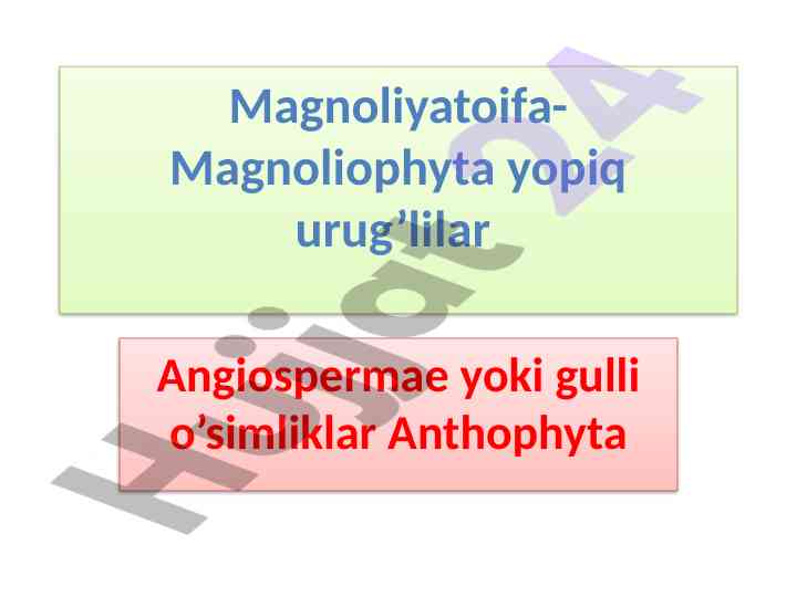 Magnoliophyta gulli o‘simliklar klassifikatsiyasi