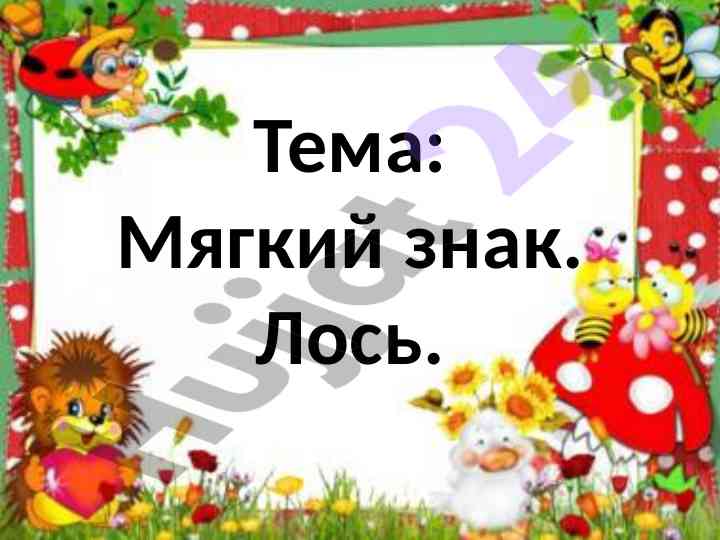 Miygkiy znak va loys muhimligi